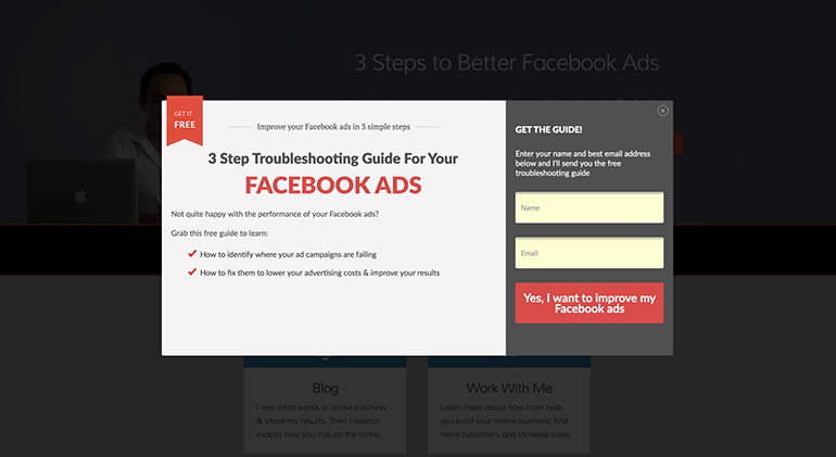 Thrive Leads tool opt-in example